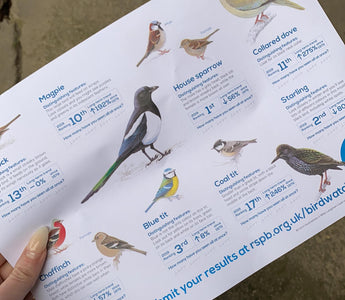 Our #BigGardenBirdWatch Results 2020