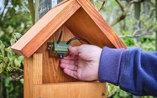 Which Bird Box Camera Is Best For You?