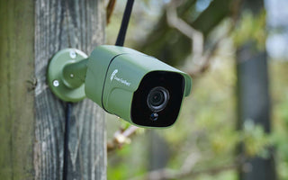 Everything you need to know about wildlife cameras