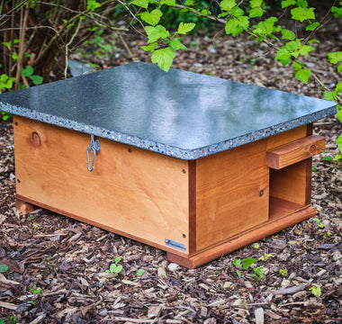 Creating a hedgehog house in your garden