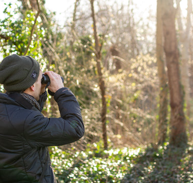 How to get started with bird watching