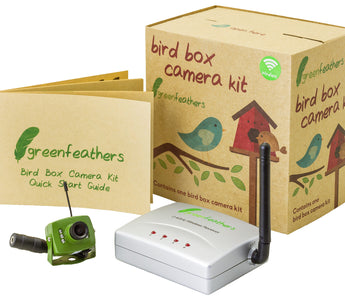 Introducing Green Feathers Bird Box Cameras