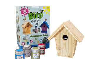 A complete guide to painting your bird box