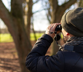 big garden birdwatch