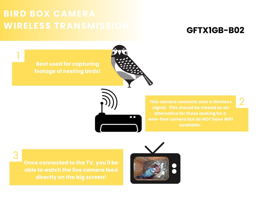 Bird Box & Wildlife Camera with Wireless Transmission | Green Feathers