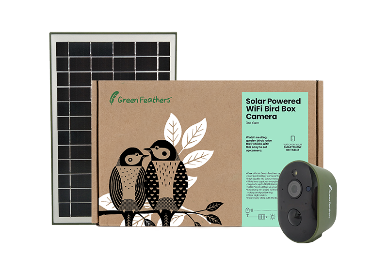 Solar Powered WiFi Bird Box HD Camera Complete Pack | Green Feathers