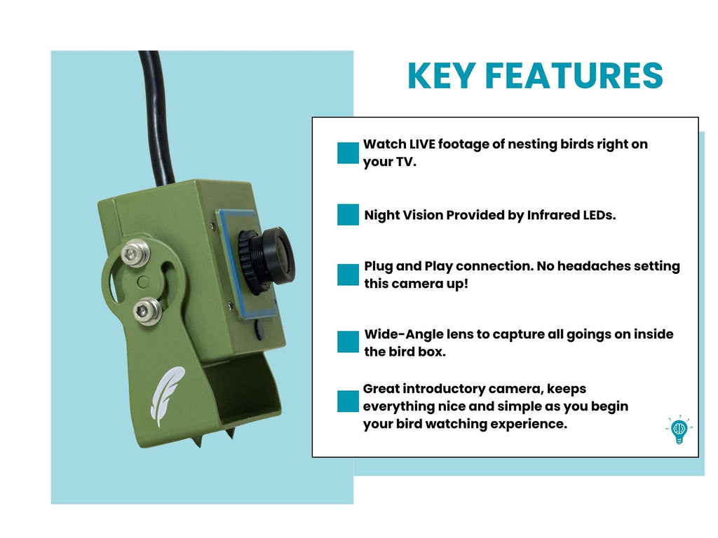 live nest box camera