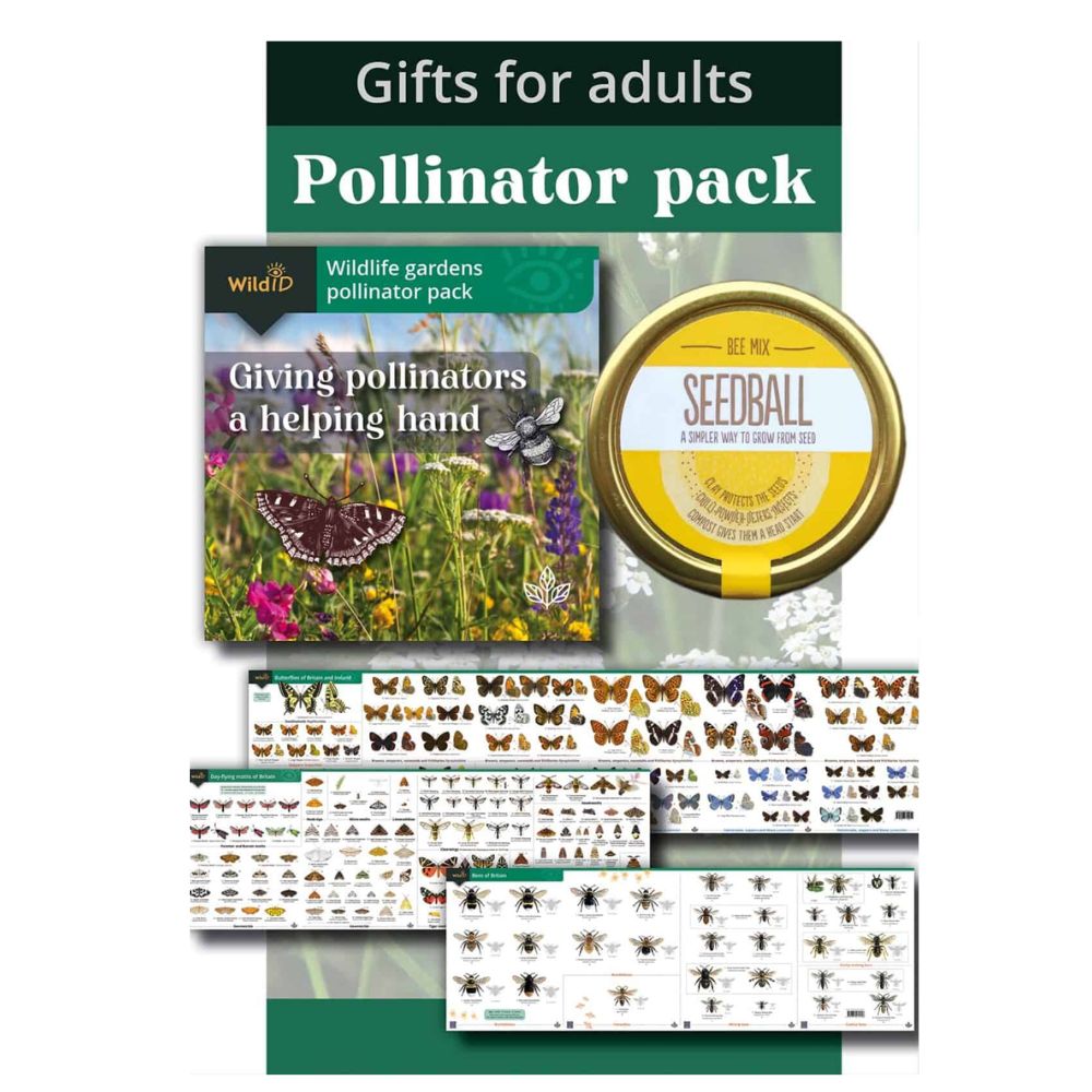 Garden Wildlife Pollinator Pack