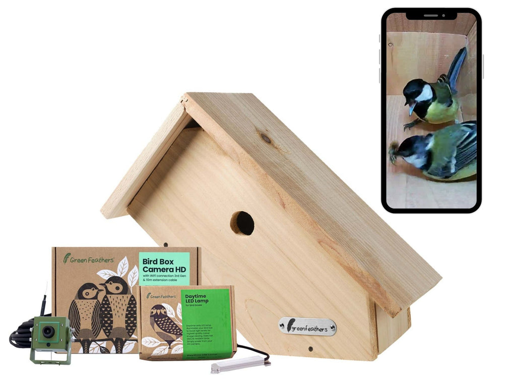 green feathers bird box camera reviews