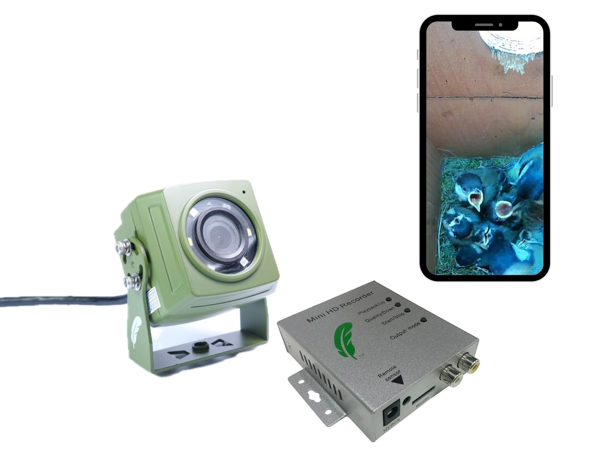 HD Cable Connection Bird Box & Wildlife Camera Mini Recorder Pack