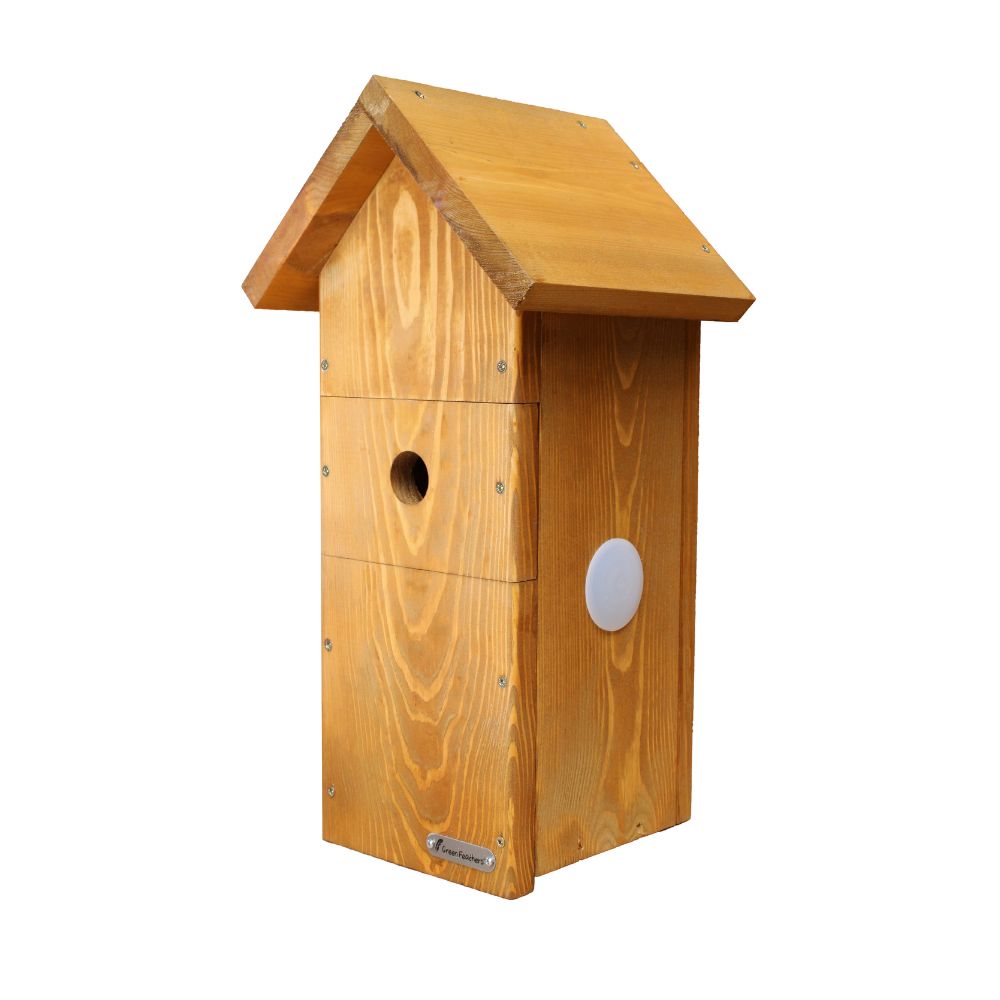 Solar Camera Ready Bird Box