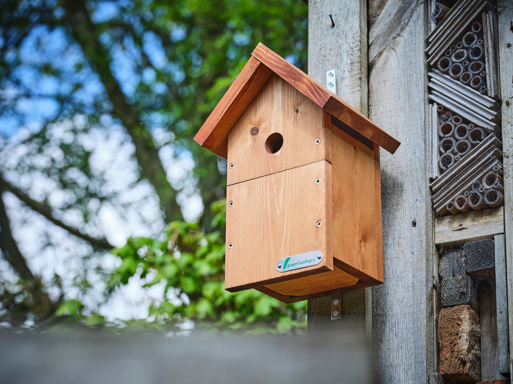 DIY Bird Box Camera Kit - Build Nest Box With Camera | Green Feathers